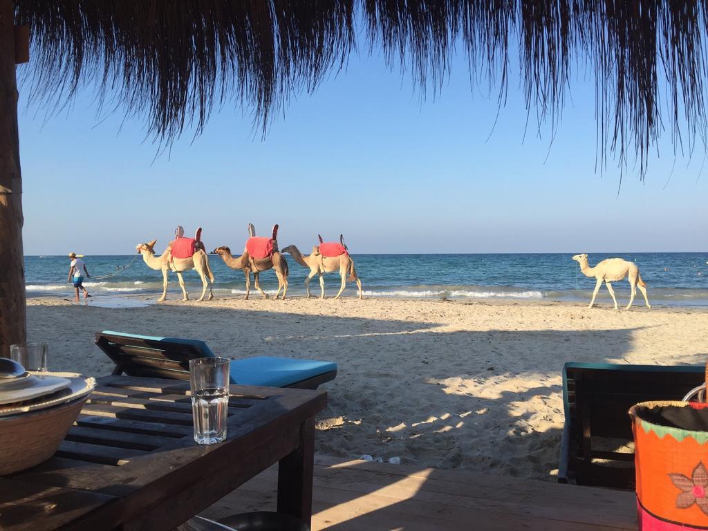 Hotel Djerba Orient Mezraia Exterior foto